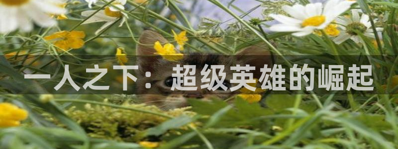 禁漫天堂韩漫：一人之下：超级英雄的崛起