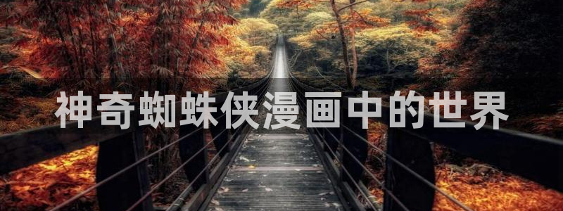 韩漫未删减在线观看：神奇蜘蛛侠漫画中的世界