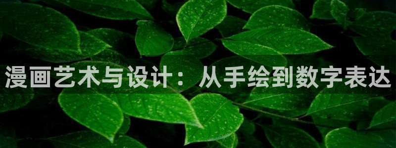 韩漫网站18禁：漫画艺术与设计：从手绘到数字表达