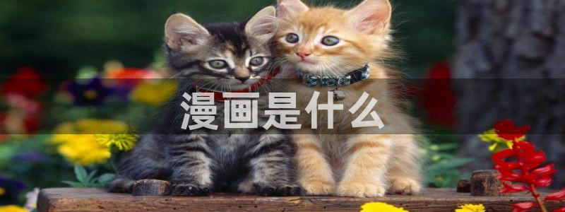 韩漫排球少女全集免费观看