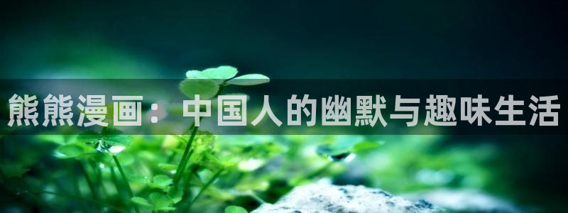 韩漫免费漫画无遮挡免费：熊熊漫画：中国人的幽默与趣味生活