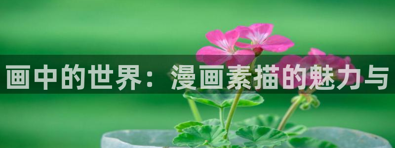 韩漫漫画画免费读漫画下拉式：画中的世界：漫画素描的魅力与